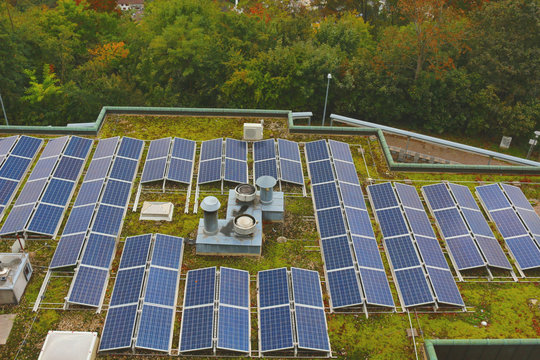 Solar panels on revegetated flat roof