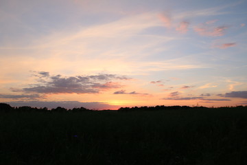 Sonnenuntergang am Rapsfeld