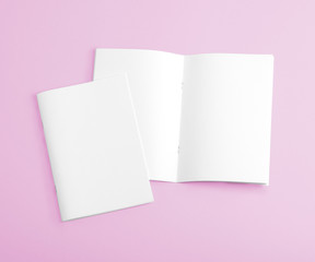Blank brochure on pink background.
