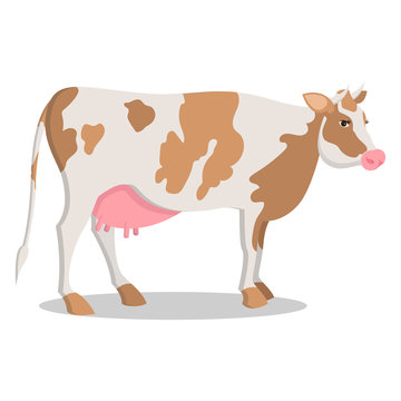 Cute Cow Grown on Farm Isolated Cartoon Illustration
