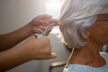 Cropped hands of beautician cutting hair of senior woman - Powered by Adobe