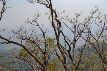Awesome view from wayanad ghats