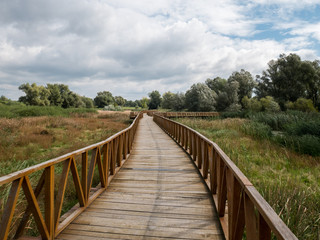 Fototapeta na wymiar Wooden walk bridge in nature park Kopacki rit