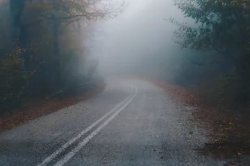 Foto op Canvas Autumn landscape, foggy road in forest © SianStock