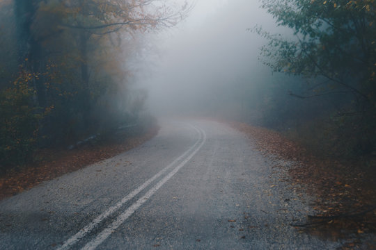 Fototapeta Autumn landscape, foggy road in forest