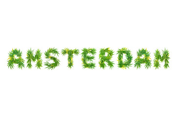 Word Amsterdam made from green cannabis leaves on a white background. Isolated