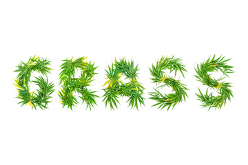 Word GRASS made from green cannabis leaves on a white background. Isolated