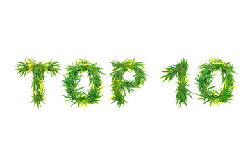 Word TOP 10 made from green cannabis leaves on a white background. Isolated