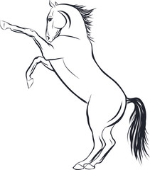 Sketch of the horse standing on hind legs.