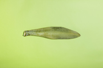leaf on the green background.