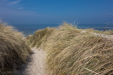 Naklejka premium Zugang zum Strand