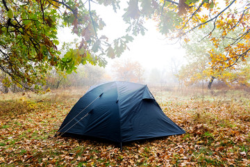 closeup touristic tent in a wet autumn forest
