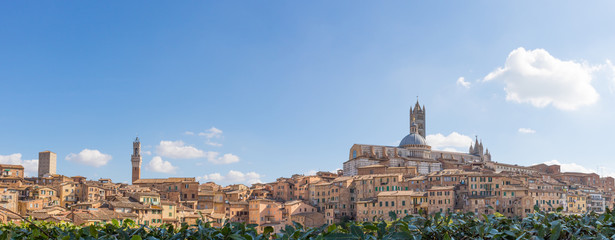 Panorama: Blick über Siena