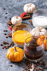 Ingredients for cook spicy pumpkin latte. Glasses with black coffee, pumpkin milk, cream with spices, coffee beans and decorative pumpkins above over gray texture background.
