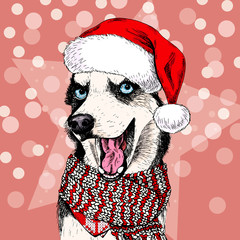 Close up vector portrait of Siberian husky dog wears Santa hat and scarf. Isolated on star and sparkle lights. Skecthed color illustraion. Christmas, Xmas, New year. Party decoration, greeting card © logaryphmic