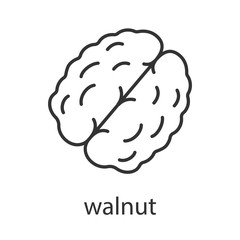 Walnut linear icon