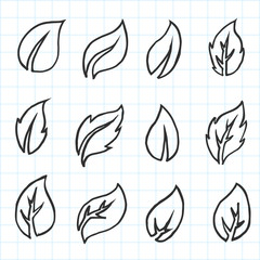 Artistic collection of hand drawn leaves set. Isolated and real pen sketch. Vector Illustration