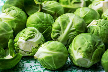 Fototapeta premium Frischer Rosenkohl