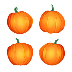 Orange pumpkin vector illustration Set. Autumn halloween or thanksgiving pumpkin, vegetable graphic icon or print, isolated on white background.