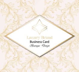 Vintage Luxury Business card with baroque ornament Vector. Abstract design illustration. Place for texts
