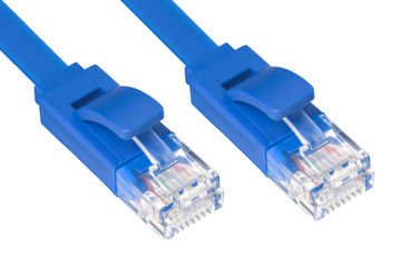 Wire patch cord for internet blue, connectors is connected to the hub