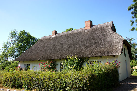 Reetdachhaus im Dorf Siggeneben , Ostholstein, Schleswig-Holstein