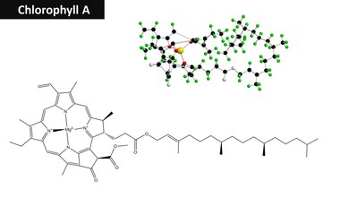 Molecular structure of Chlorophyll A, 3D rendering