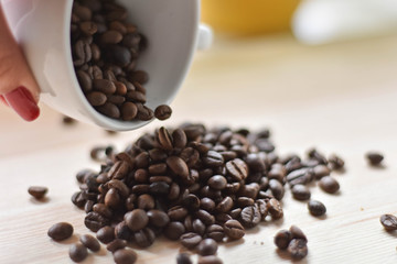 Woman hand holding a cup full of coffee beans