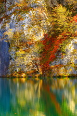 Colors of nature, fall in National park Plitvice lakes, Croatia