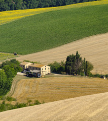 Summer landscape in Marches (Italy) near Appignano