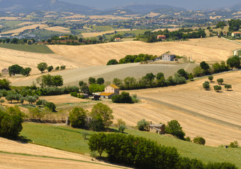 Summer landscape in Marches (Italy) near Ostra