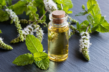 A bottle of peppermint essential oil with blooming peppermint twigs