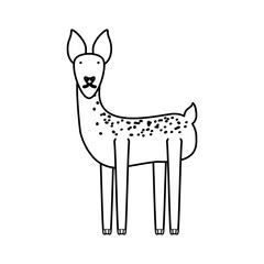 flat line uncolored   deer over white background  vector illustration