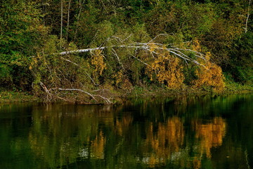 Autumn mountain river in Siberia
