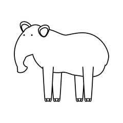 flat line uncolored  tapir  over white background  vector illustration