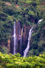 Scenic tropical waterfall in jungle