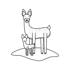 flat line uncolored  deer  over white background  vector illustration