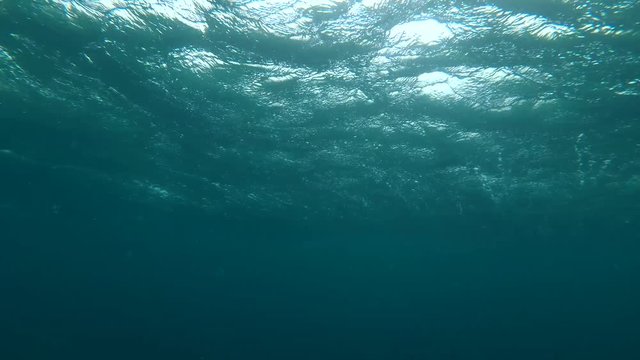 Storm wave and tropical rain (view from under water) 
