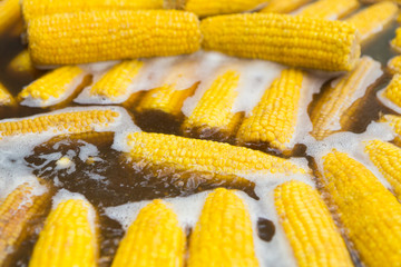 Fresh corncobs boiling in water closeup