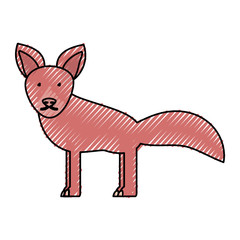 flat line colored  fox doodle over white background  vector illustration