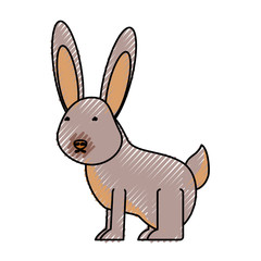 Fototapeta na wymiar flat line colored wild rabbit over white background vector illustration