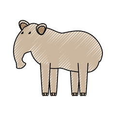 flat line colored  tapir doodle over white background  vector illustration