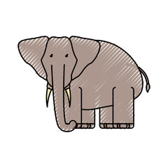 flat line colored  elephant doodle over white background  vector illustration