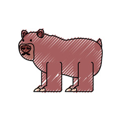 flat line colored  bear doodle  over white background  vector illustration