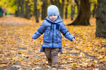 Little child boy 1 years old walks in the park on fallen colorful leaves in autumn day