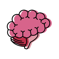 Human brain isolated icon vector illustration graphic design