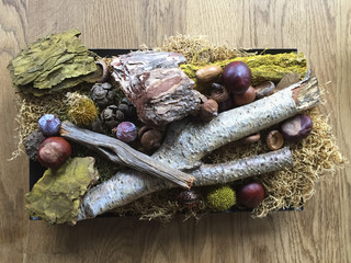 Autumn Decoration on wooden table © Trebor Eckscher