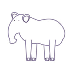 flat line colored   tapir over white background  vector illustration