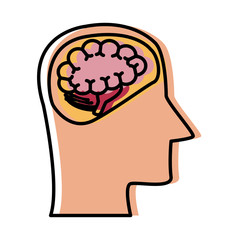Head silhouette with brain icon vector illustration graphic design