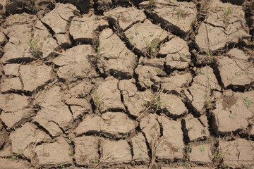 earth fissure
